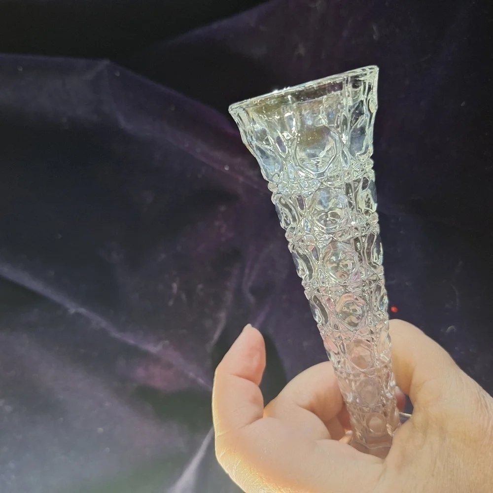 Elegant Clear Glass Vase